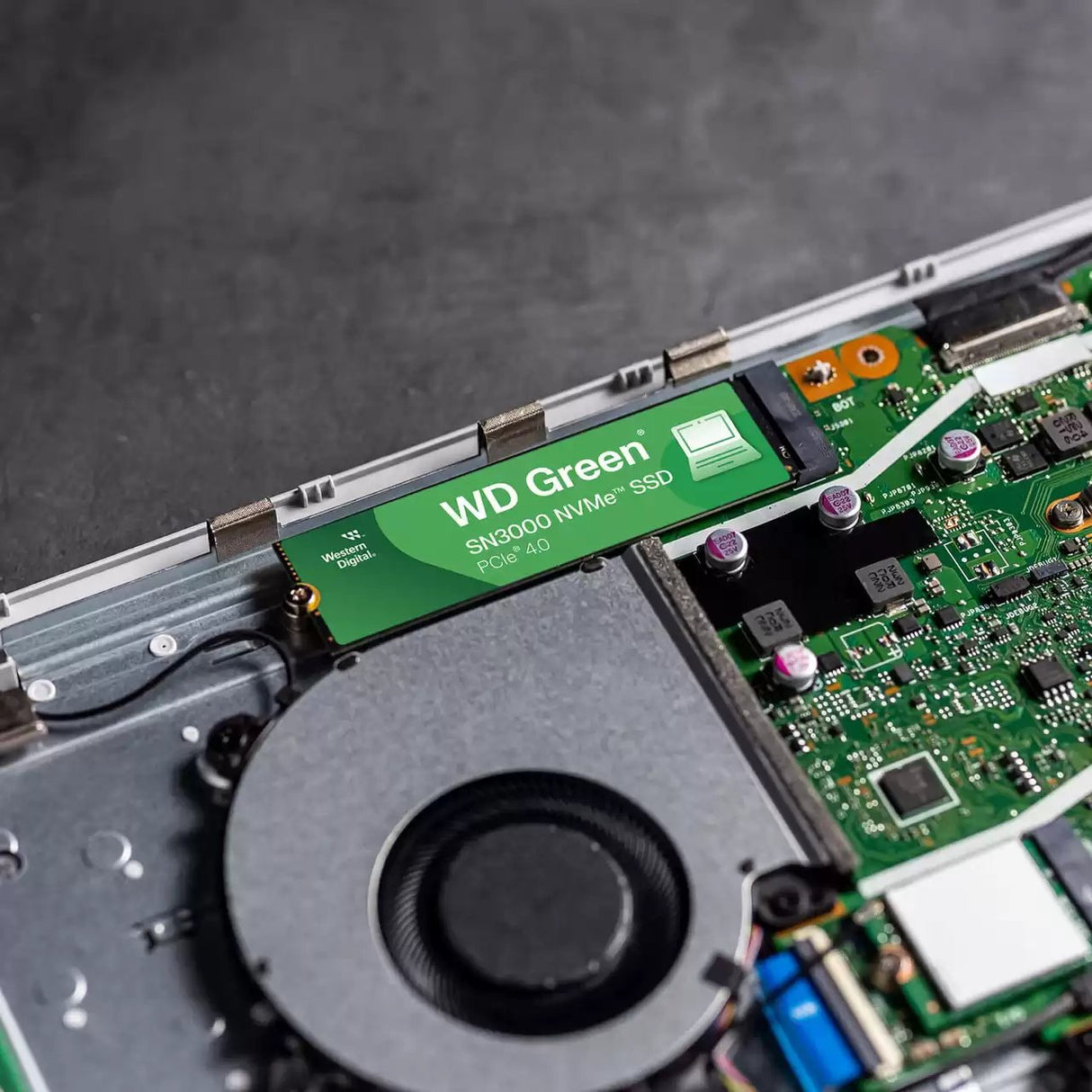 EAN 0718037904634 - Western Digital SN3000 500 GB M.2 PCI Express 4.0 NVMe QLC 3D NAND imagen 4