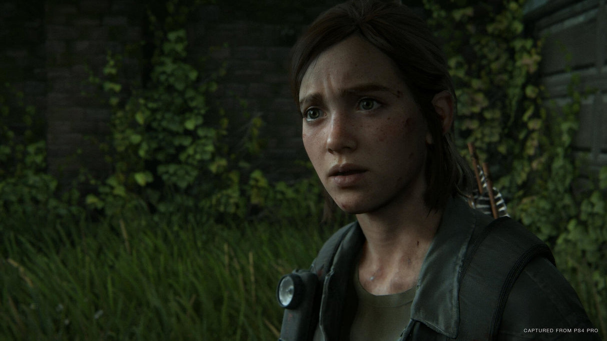 Videojuego Para Ps4 The Last Of Us Parte 2