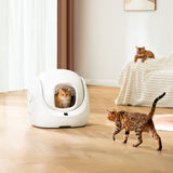 EAN 6972884750842 - Petoneer CL96961 bandeja higiénica para perro y gato Caja de arena con cubierta Blanco imagen 13