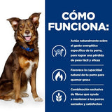 EAN 52742209906 - Hills 605942 comida seca para perros 12 kg Pollo, Ternera imagen 4