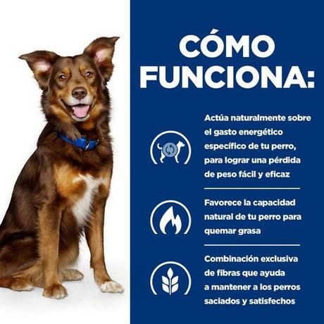 EAN 52742209906 - Hills 605942 comida seca para perros 12 kg Pollo, Ternera imagen 4