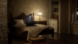 Sony Ps5 Resident Evil Requiem Usk18