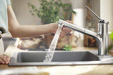Hansgrohe Zesis M33 Cocina Monomando.Mix.150 2jet Pull-O Spray