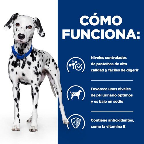 Hill S Pd Canine U/D Pienso Seco Para Perros 4 Kg
