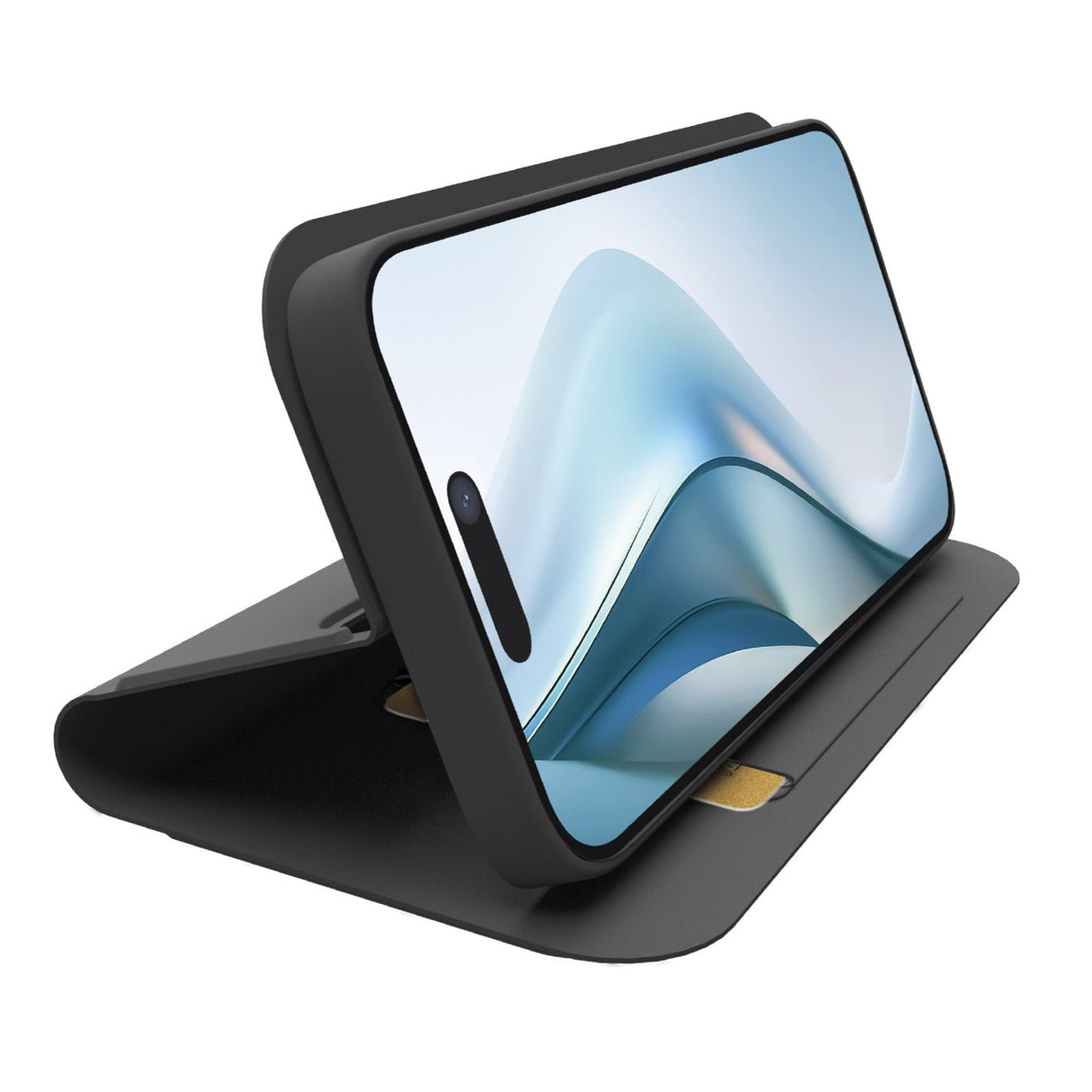 EAN 8018417524936 - SBS TEWALIP1766K funda para teléfono móvil 16,5 cm (6.5") Folio Negro imagen 2