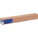 Epson Pap Photo Glacé (250) 248g 36 (0,914x30.5m)
