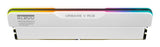 32gb Klevv (16gbx2) Urban V Rgb 6000 Cl28 White