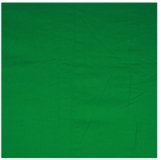 Walimex Tela Fondo Verde 2,85x6m