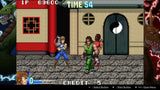 Juego Double Dragon Collect. Switch