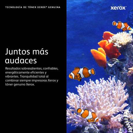 EAN 0095205883343 - Xerox 115R00143 cartucho de tóner imagen 11