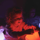 EAN 5430001702859 - KIDYWOLF Koala luz nocturna para bebés Independiente Blanco LED imagen 6