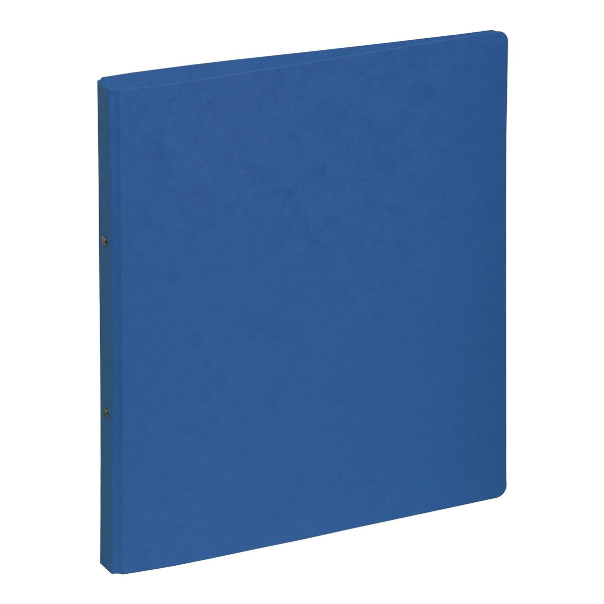 Pagna 44096-02 Carpeta De Cartón A4 Azul
