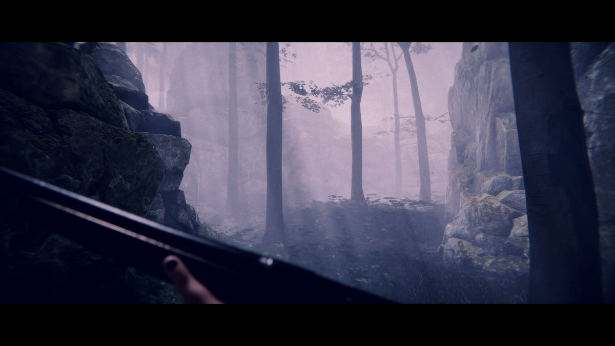 Juego Project Songbird Playstation 5