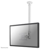 Newstar Soporte De Techo Para Tv