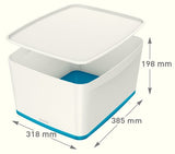 Esselte Leitz Mybox Large - Caja De Almacenamiento - Para A4 (210 X 297 Mm)