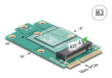 Delock Adaptador Mini Pcie Macho A M.2 Key A Slot