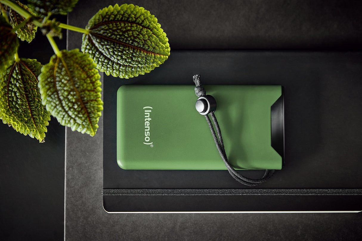 EAN 4034303034253 - Intenso 7332037 batería externa Polímero de litio 10000 mAh Verde imagen 6