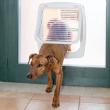Swing 11 - Puerta Blanca Para Perros Medianos