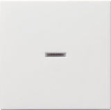 EAN 4010337290032 - GIRA 029003 accesorio de interruptor eléctrico imagen 1