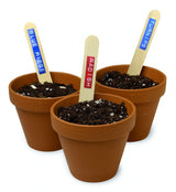 Dymo Cinta Tradicional 84774, 9mmx3m Azul, Blister 3 Unidades