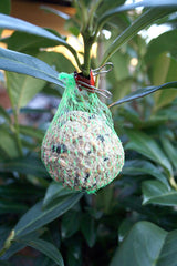 Maul Original Mauly Klammern 13mm 12m Pck Farblich Sortiert