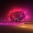 EAN 8720169246621 - Philips Hue White and Color ambiance 8720169246621 iluminación inteligente Tira de luz inteligente Blueto imagen 1