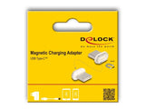 Delock Magnetischer Adapter Usb Type-C Stecker