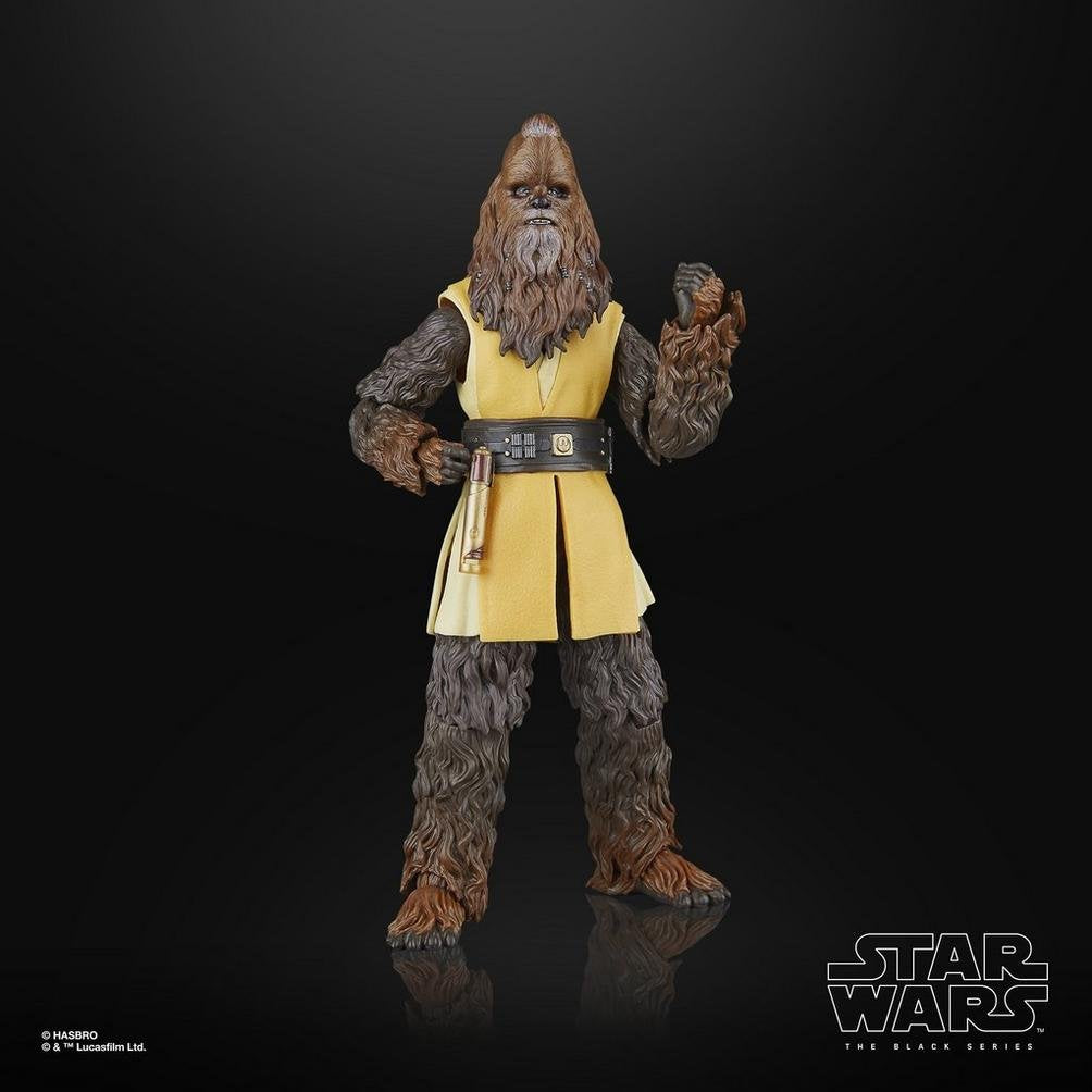 Figura Hasbro Star Wars The Black Series The Acolyte