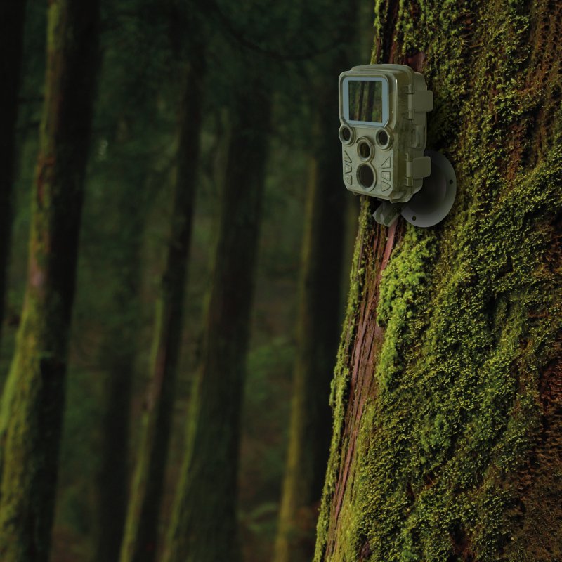 Braun Scouting Cam Black800 Mini Camara