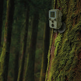 Braun Scouting Cam Black800 Mini Camara