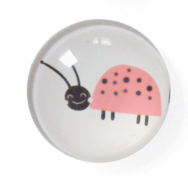 Zeller Insekten Magnete Motiv
