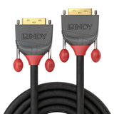 Lindy 36241 Cable Dvi 15 M Dvi-D Negro
