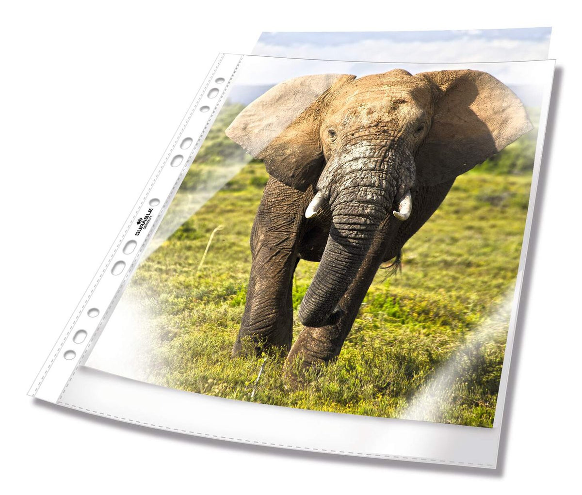 Fundas Para Documentos Din A4 0.06 Mm Transparente