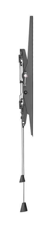 Basic Medium Wall Mount With  Tilt (80 Pcs. Bulk)