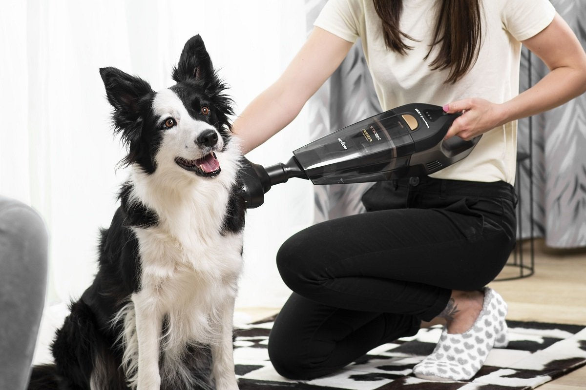 Vacuum Cleaner          Concept Vp4353