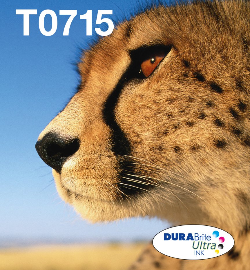 Epson Easymail Mp Guépard Durabrite Ultra Cmyk