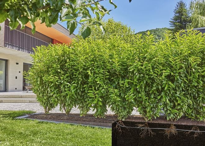 Línea De Goteo Para Arbustos/Setos Gardena Micro-Drip-System 1,6 L/H, 50 Metros, (Negro, Modelo 2023, Sobre Y Bajo Tierra)