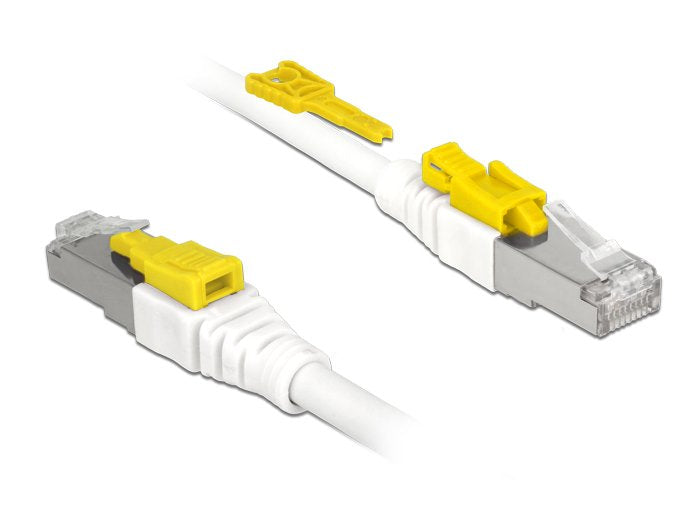 Delock Cable Rj45 Secure Cat.6a 2 M