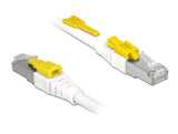 Delock Cable Rj45 Secure Cat.6a 2 M