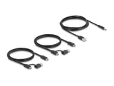 Delock Usb 5 Gbps Switch 4 X Dispositivo Y 2 X Host