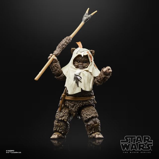 EAN 5010996135551 - Star Wars The Black Series Paploo imagen 3