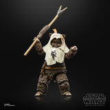 EAN 5010996135551 - Star Wars The Black Series Paploo imagen 3