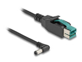 Delock 80011 Cable Poweredusb Macho 12 V A Dc 5,5 X 2,1 Mm Macho Sesgado 1 M