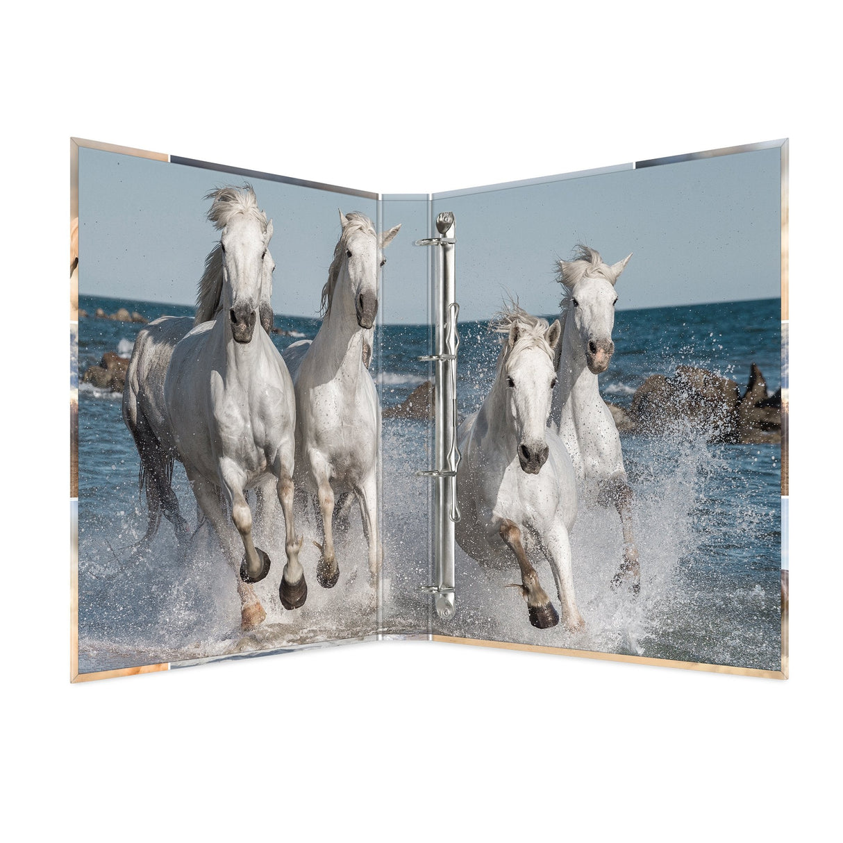 Herma Carpeta 4 Anillas A4 25 Mm  (Caballos)