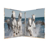 Herma Carpeta 4 Anillas A4 25 Mm  (Caballos)
