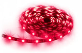 Tira Led Konix Drakkar Aurora  5m  Regulable