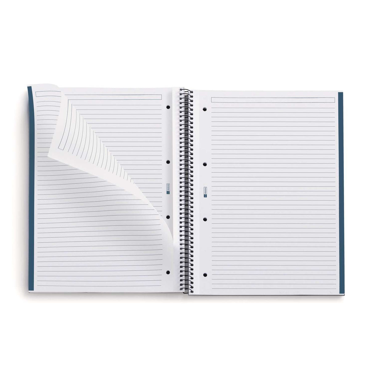 EAN 8422593061589 - MAUL A615899 cuaderno y block A4 80 hojas Multicolor imagen 2