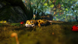 Juego Smalland: Survive The Wilds (Gkc) - Switch 2 Switch 2