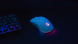 Speedlink Sl-680102-Wt Ratón Juego Mano Derecha Rf Wireless + Usb Type-A Óptico 4800 Dpi