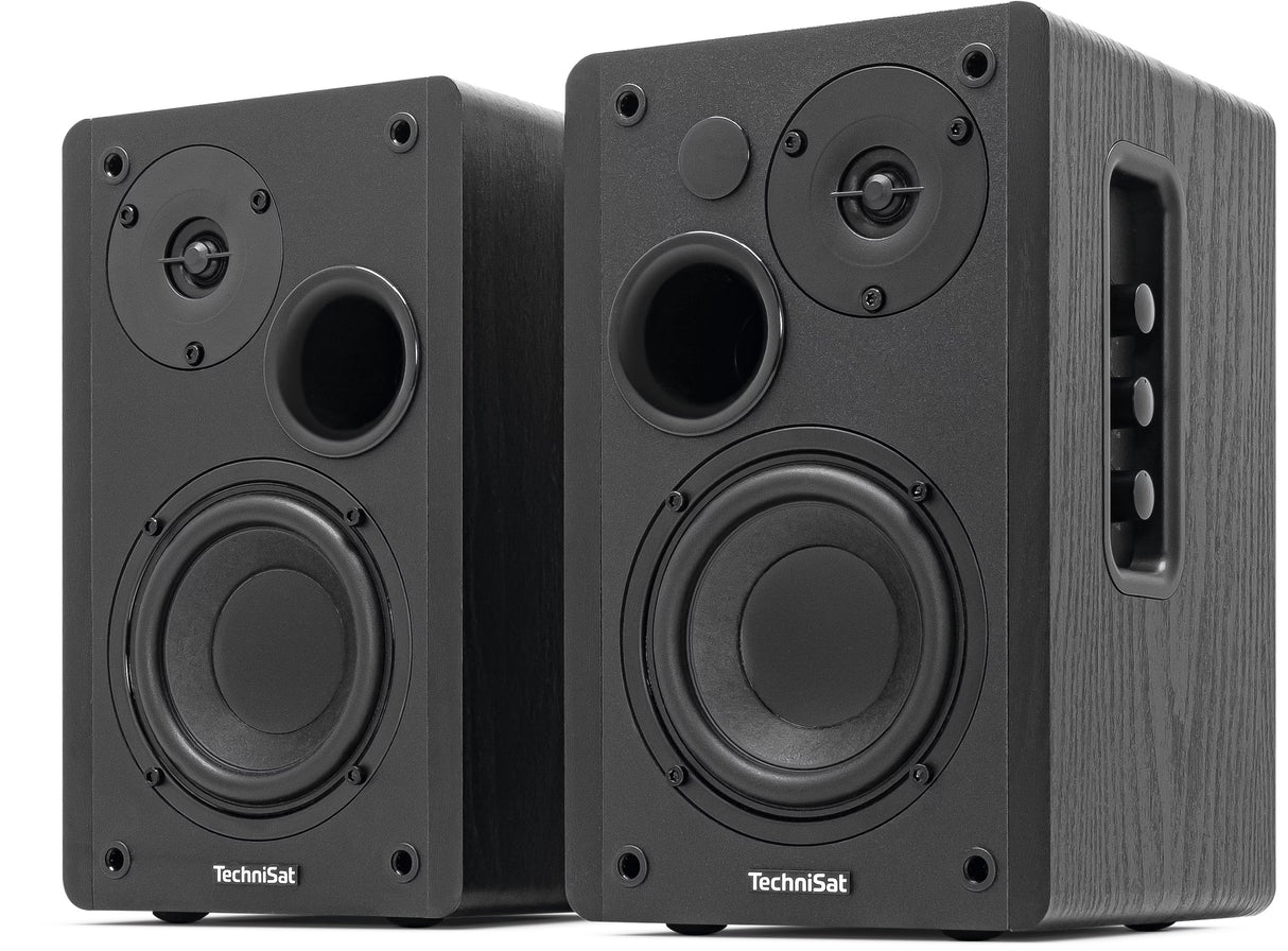 Technisat Audiomaster Rls 1